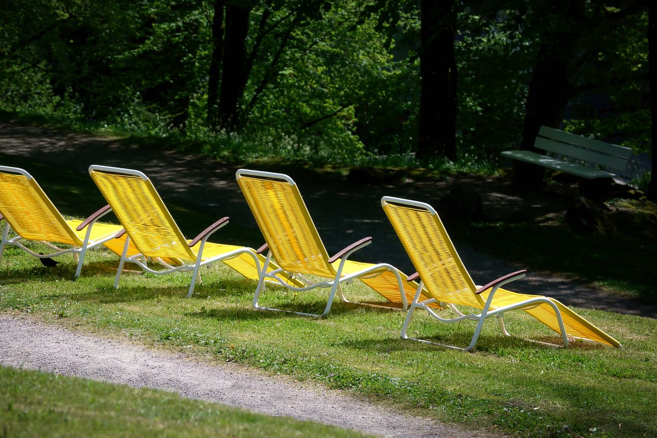 Bright yellow lounge chairs in a peaceful park setting in Bad Wildbad, Germany.